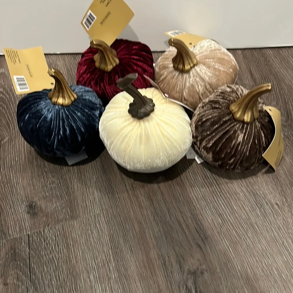 ๐ Beautiful Fall Velvet Pumpkins- Set of 5- NWT - Picture 1 of 4